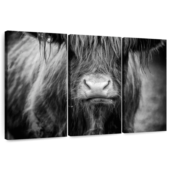 Elephant Stock Long Haired Highland Cow Wall Art - Horizontal Multi Panel Canvas - Living Room Wall Decor - Animal Multi Panel - Black And Gray Decor - 74" x 48"