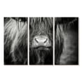 thumbnail image 1 of Elephant Stock Long Haired Highland Cow Wall Art - Horizontal Multi Panel Canvas - Living Room Wall Decor - Animal Multi Panel - Black And Gray Decor - 74" x 48", 1 of 4