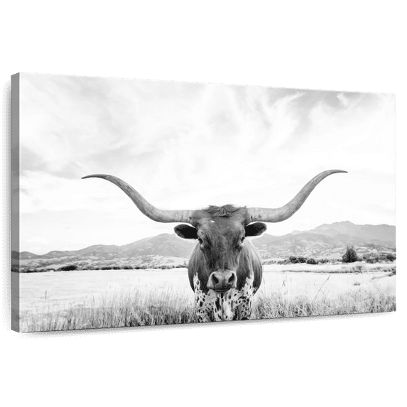 Elephant Stock Longhorn Texas Bw Wall Art - Horizontal Canvas Wall Art - Living Room Wall Decor - Animal Canvas - Black And Gray Decor By Sisi And Seb - 24" x 16"
