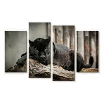 Elephant Stock Lounging Black Panther Wall Art - Horizontal Multi Panel Canvas - Living Room Wall Decor - Animal Multi Panel - Brown And Black Decor - 24" x 14"