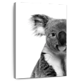 thumbnail image 1 of Elephant Stock Lovable Koala Bear Wall Art - Vertical Canvas Wall Art - Dining Room Wall Decor - Animal Canvas - White And Gray Decor - 16" x 24", 1 of 8