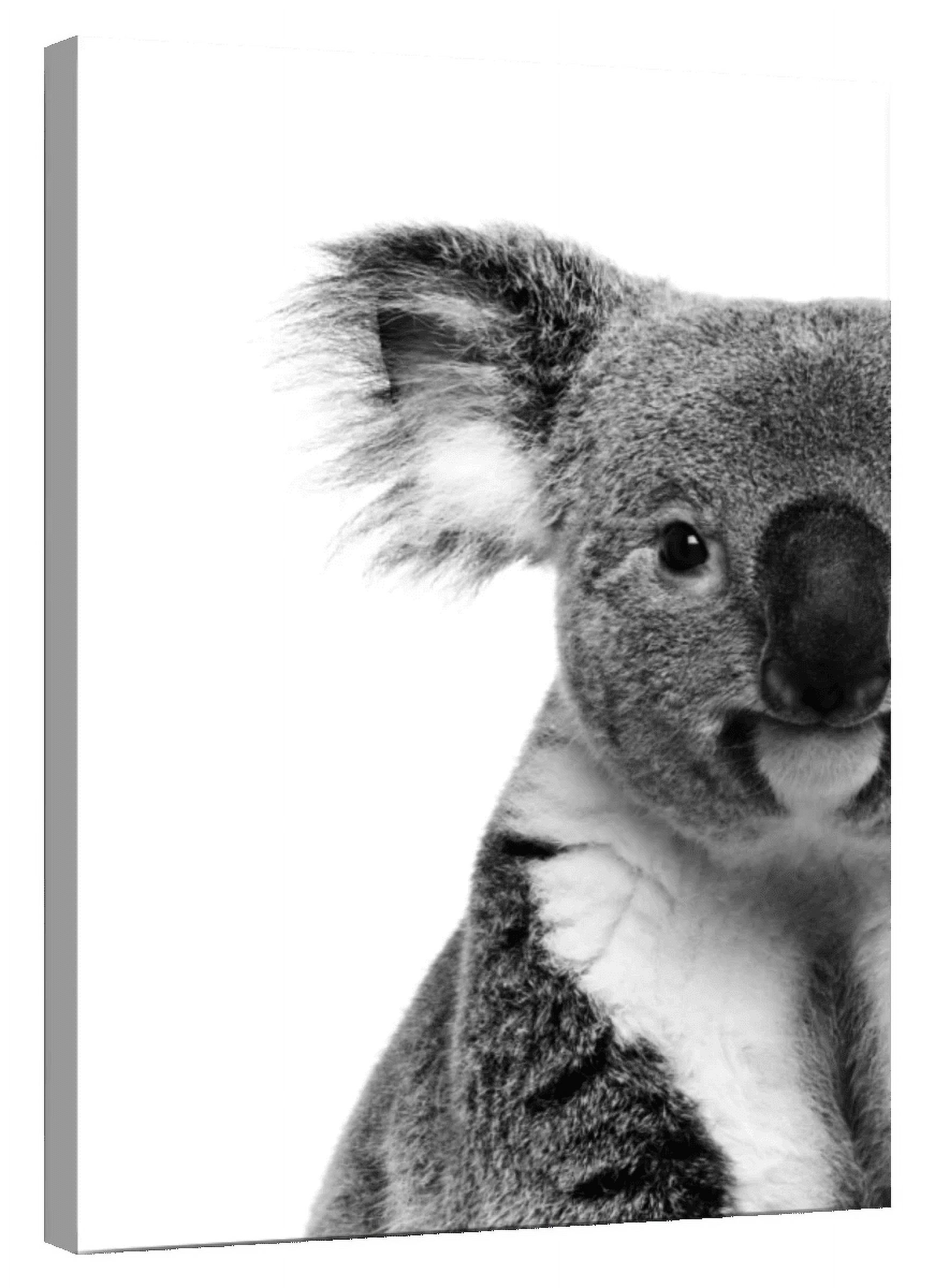 Elephant Stock Lovable Koala Bear Wall Art Vertical Canvas Wall Art