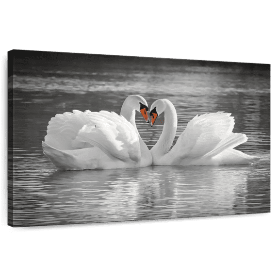 Elephant Stock Loving Couple Swan Wall Art - Horizontal Canvas Wall Art - Living Room Wall Decor - Animal Canvas - White And Gray Decor - 51" x 34"