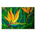 thumbnail image 1 of Elephant Stock Lush Bird Of Paradise Wall Art - Horizontal Canvas Wall Art - Living Room Wall Decor - Floral And Botanical Canvas - Green And Orange Decor By Daniel Jean-baptiste - 45" x 30", 1 of 4