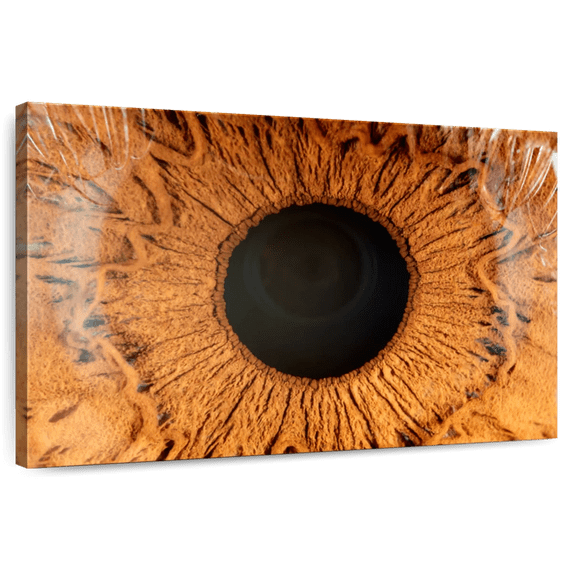 Elephant Stock Magnified Human Eye Wall Art - Horizontal Canvas Wall Art - Living Room Wall Decor - Profession Canvas - Brown And Black Decor - 12" x 8"