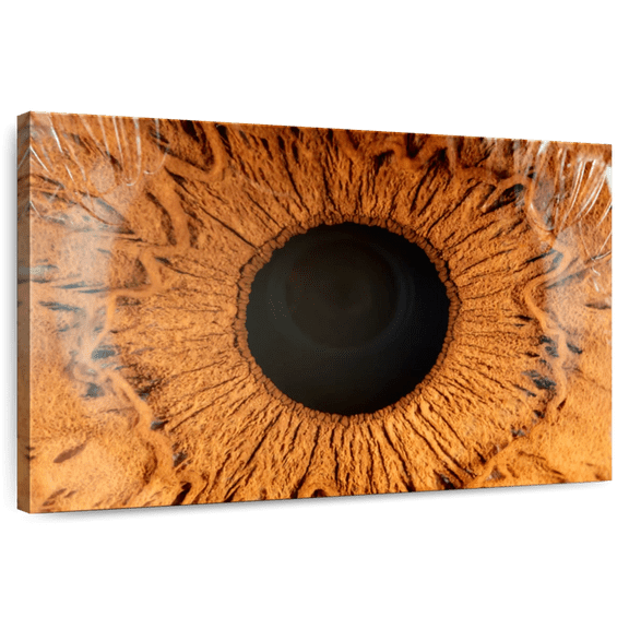 Elephant Stock Magnified Human Eye Wall Art - Horizontal Canvas Wall Art - Living Room Wall Decor - Profession Canvas - Brown And Black Decor - 12" x 8"