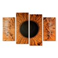 thumbnail image 1 of Elephant Stock Magnified Human Eye Wall Art - Horizontal Multi Panel Canvas - Living Room Wall Decor - Profession Multi Panel - Brown And Black Decor - 24" x 14", 1 of 4