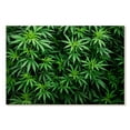 thumbnail image 1 of Elephant Stock Marijuana Cultivation Wall Art - Horizontal Canvas Wall Art - Living Room Wall Decor - Floral And Botanical Canvas - Black And Green Decor - 24" x 16", 1 of 4