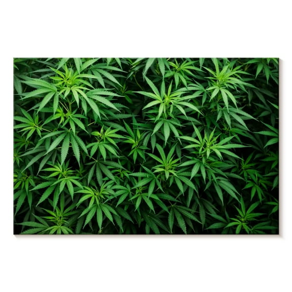 Elephant Stock Marijuana Cultivation Wall Art - Horizontal Canvas Wall Art - Living Room Wall Decor - Floral And Botanical Canvas - Black And Green Decor - 24" x 16"