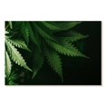 thumbnail image 1 of Elephant Stock Marijuana Sensation Wall Art - Horizontal Canvas Wall Art - Living Room Wall Decor - Hobbies And Lifestyle Canvas - Black And Green Decor - 39" x 26", 1 of 4