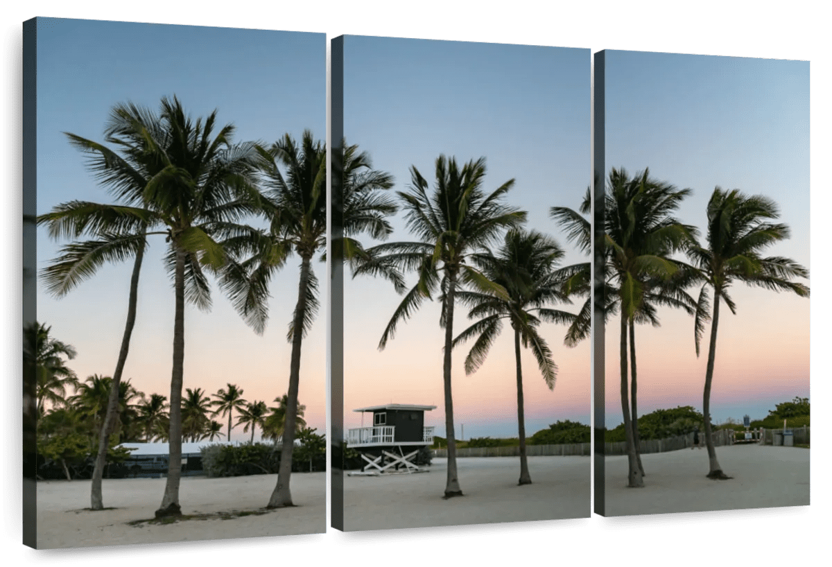 Elephant Stock Miami Beach Palms Wall Art - Horizontal Multi Panel ...