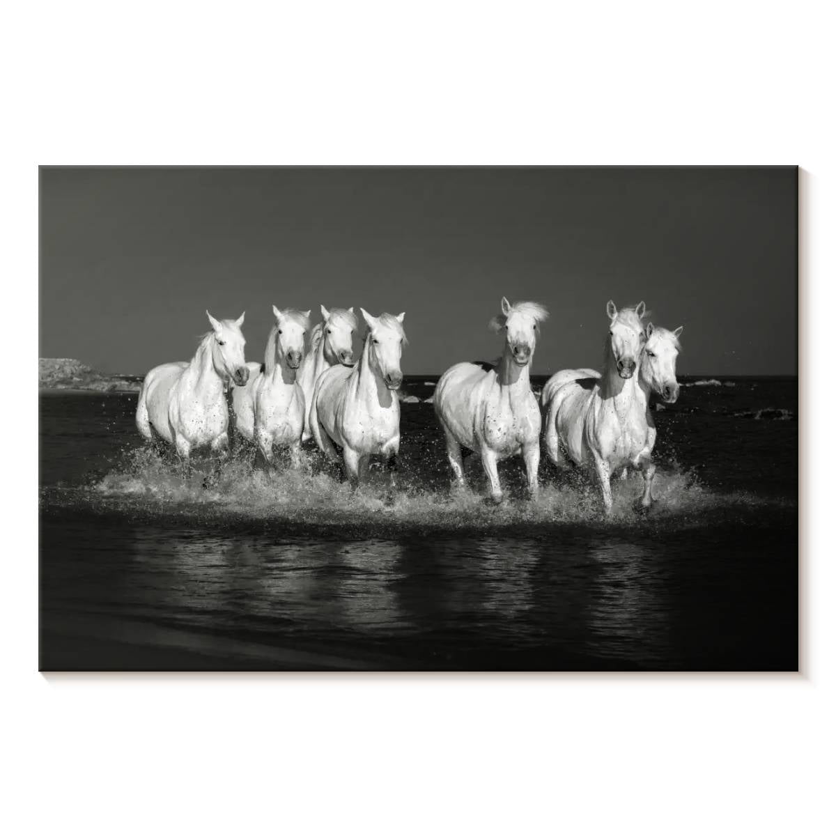 Elephant Stock Monochromatic Camargue Horses Wall Art - Horizontal ...