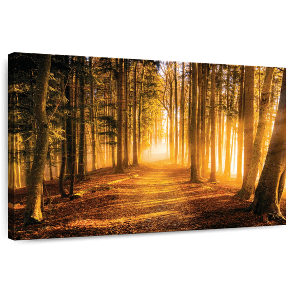 Elephant Stock Morning Forest Path Wall Art - Horizontal Canvas Wall Art - Living Room Wall Decor - Floral And Botanical Canvas - Orange And Brown Decor - 45" x 30"