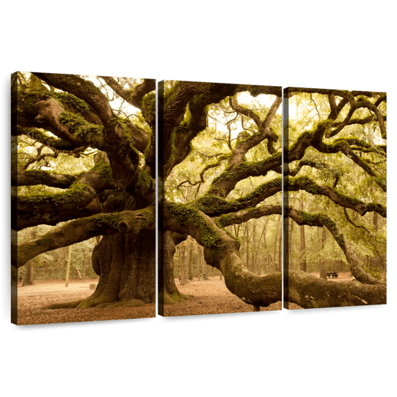 Elephant Stock Mossy Ancient Oak Tree Wall Art - Horizontal Multi Panel Canvas - Living Room Wall Decor - Floral And Botanical Multi Panel - Brown And Orange Decor - 65" x 42"