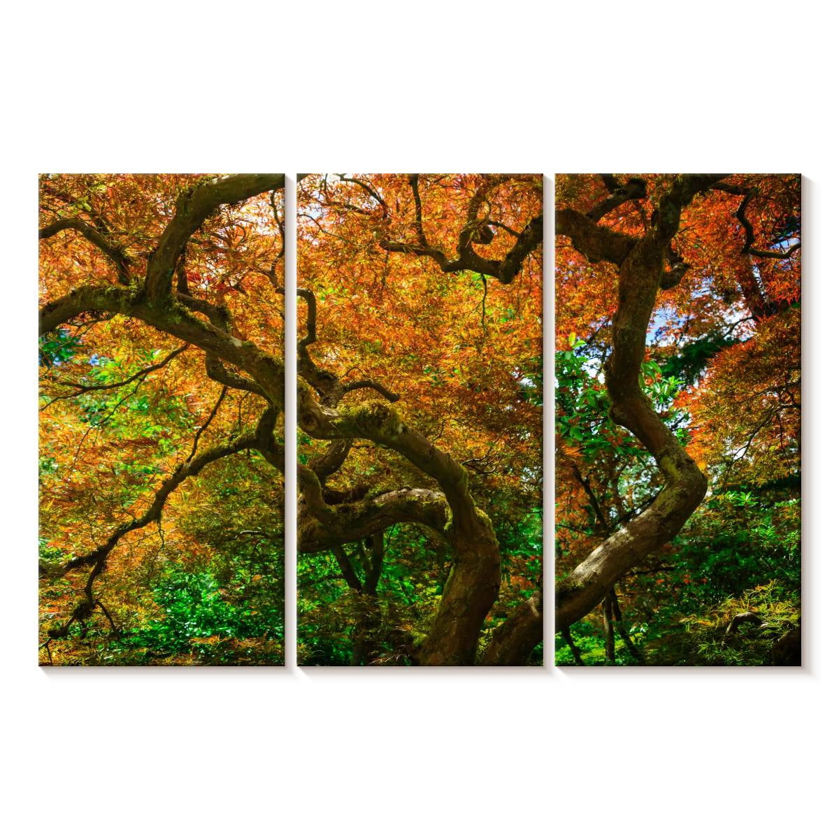 Elephant Stock Mossy Maple Tree Wall Art - Horizontal Multi Panel ...