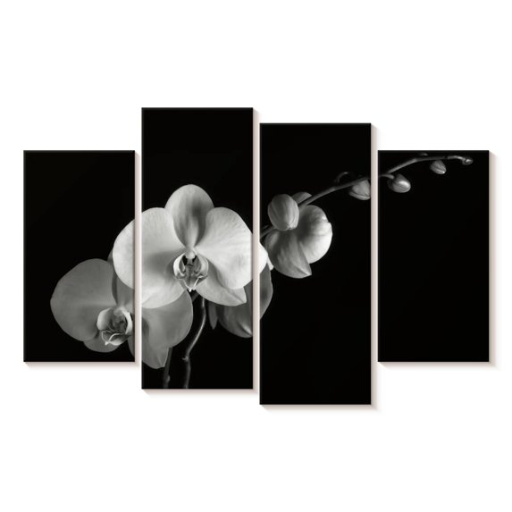 Elephant Stock Moth Orchids Ii Wall Art - Horizontal Multi Panel Canvas - Living Room Wall Decor - Floral And Botanical Multi Panel - Black And Gray Decor By Alan Majchrowicz - 36" x 22"