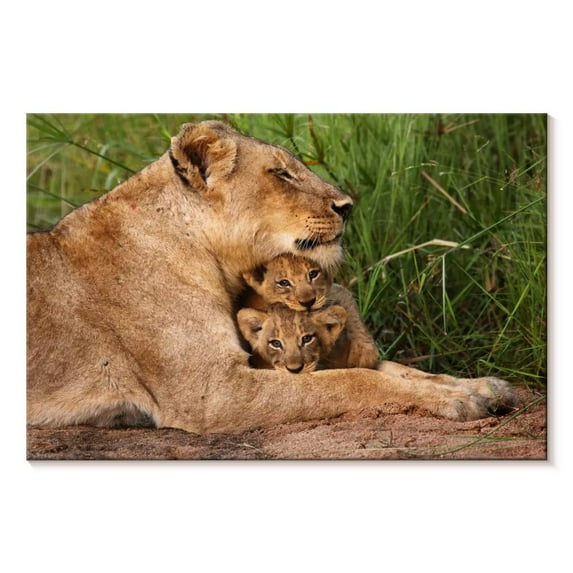 Elephant Stock Motherly Lioness Wall Art - Horizontal Canvas Wall Art - Living Room Wall Decor - Animal Canvas - Beige And Brown Decor - 39" x 26"