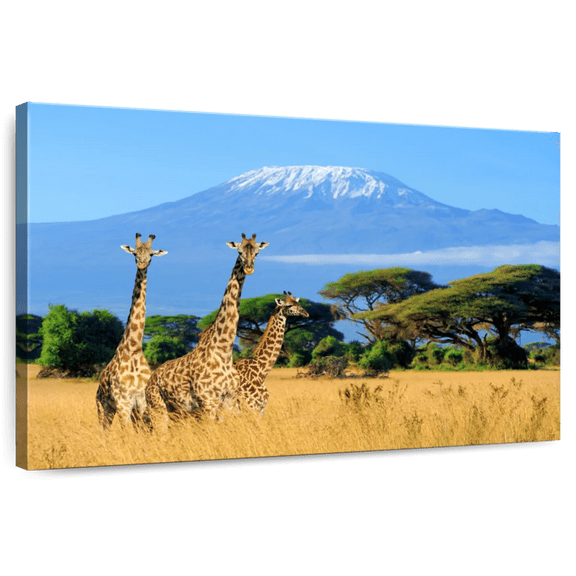 Elephant Stock Mount Kilimanjaro Giraffes Wall Art - Horizontal Canvas Wall Art - Living Room Wall Decor - Photography Animal Canvas - Blue And Green Decor - 48" x 32"