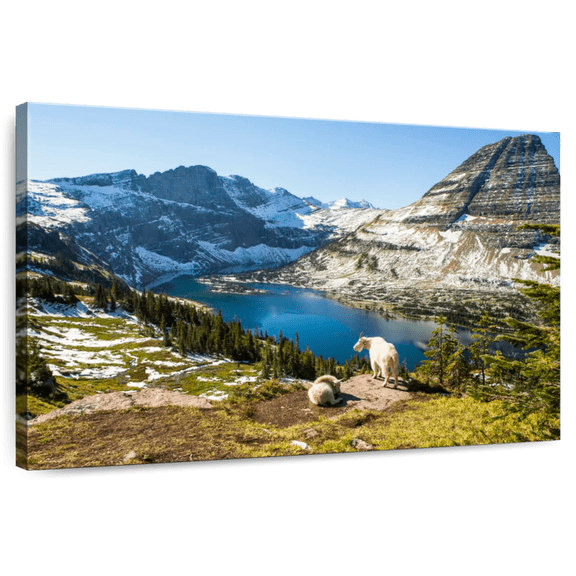 Elephant Stock Mountain Goats At Glacier Park Wall Art - Horizontal Canvas Wall Art - Living Room Wall Decor - Nature Canvas - Green And Gray Decor - 36" x 24"