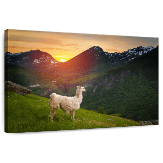 Elephant Stock Mountain Llama Wall Art - Horizontal Canvas Wall Art - Living Room Wall Decor - Animal Canvas - Green And Orange Decor - 39" x 26"