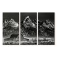 thumbnail image 1 of Elephant Stock Mountainside Moulton Barn Wall Art - Horizontal Multi Panel Canvas - Living Room Wall Decor - Nature Multi Panel - Gray And Black Decor - 45" x 28", 1 of 4