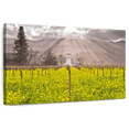 thumbnail image 1 of Elephant Stock Napa Valley Vineyards Wall Art - Horizontal Canvas Wall Art - Dining Room Wall Decor - Nature Canvas - Green And Yellow Decor - 12" x 8", 1 of 8