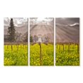 thumbnail image 1 of Elephant Stock Napa Valley Vineyards Wall Art - Horizontal Multi Panel Canvas - Hallway Wall Decor - Nature Multi Panel - Green And Yellow Decor - 23" x 14", 1 of 4
