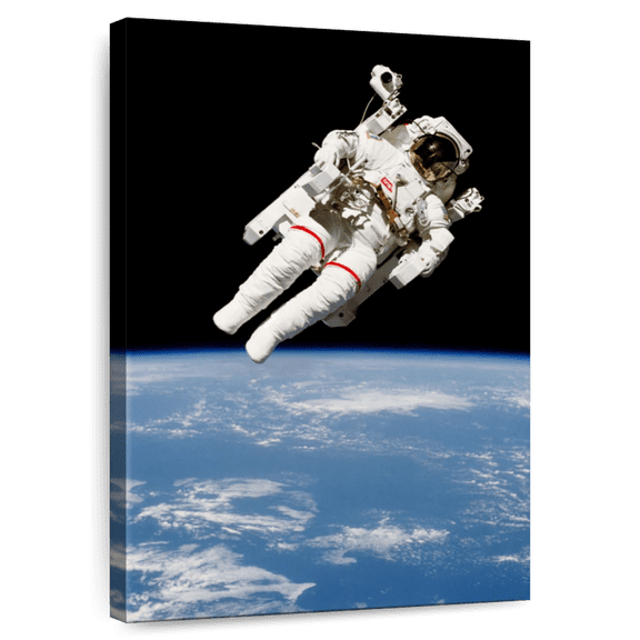 Elephant Stock Nasa Space Mission I Wall Art - Vertical Canvas Wall Art - Living Room Wall Decor - Astronomy & Space Canvas - Black And White Decor By Nasa - 8" x 12"