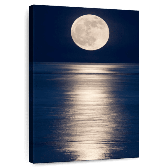 Elephant Stock Night Ocean Wall Art - Vertical Canvas Wall Art - Living Room Wall Decor - Astronomy & Space Canvas - Blue And Beige Decor - 32" x 48"