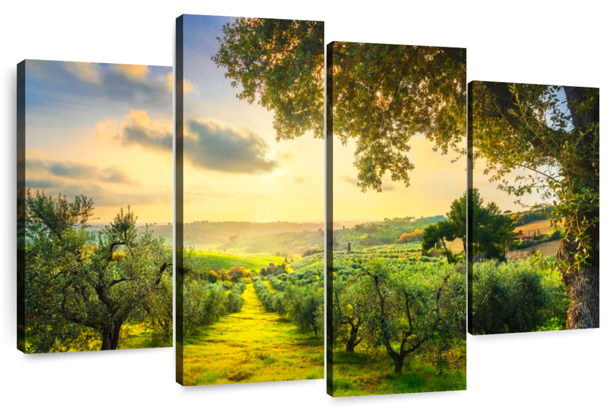 Elephant Stock Olive Trees Wall Art - Horizontal Multi Panel Canvas ...
