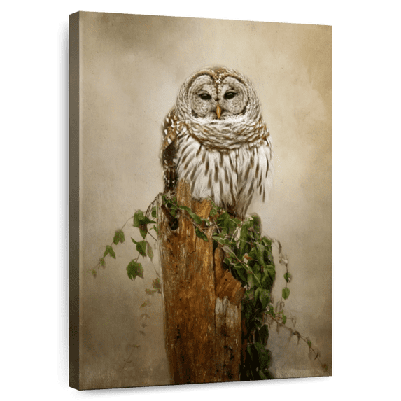 Elephant Stock Ollie And Ivy Wall Art - Vertical Canvas Wall Art - Living Room Wall Decor - Animal Canvas - Beige And Brown Decor By Jai Johnson - 8" x 12"