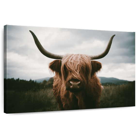 Elephant Stock Open Field Highland Cow Wall Art - Horizontal Canvas Wall Art - Living Room Wall Decor - Animal Canvas - Brown And Gray Decor - 36" x 24"