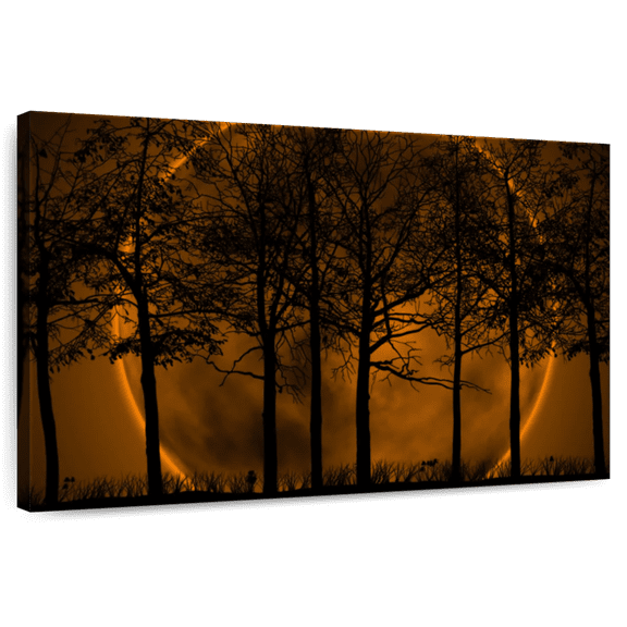 Elephant Stock Orange Forest Silhouette Wall Art - Horizontal Canvas Wall Art - Living Room Wall Decor - Gothic Canvas - Black And Brown Decor - 45" x 30"