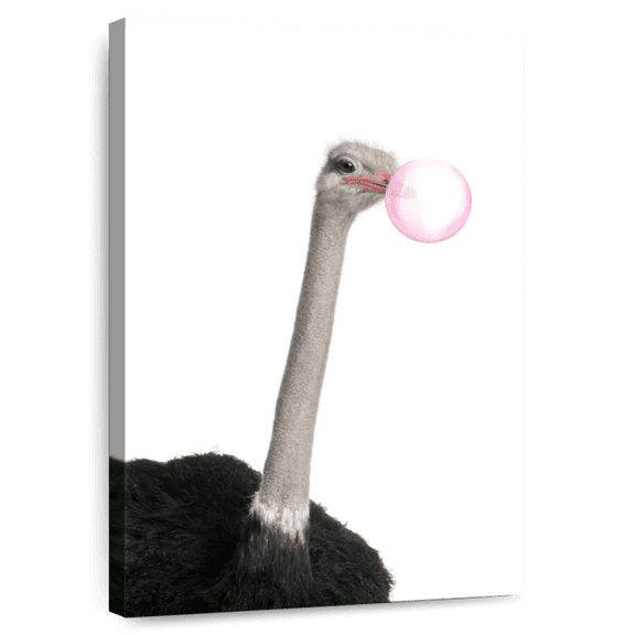 Elephant Stock Ostrich Bubble Gum Wall Art - Vertical Canvas Wall Art - Living Room Wall Decor - Animal Canvas - Black And Gray Decor - 8" x 12"
