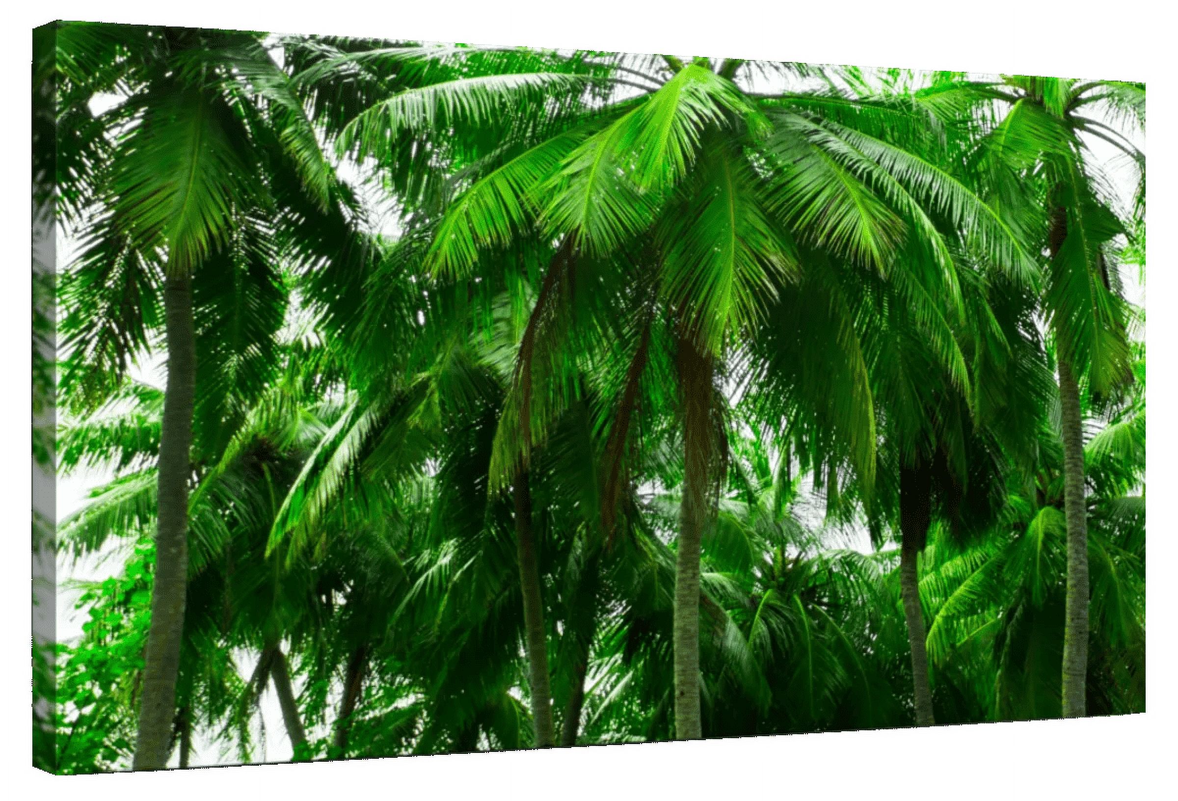 Elephant Stock Palm Tree Forest Wall Art - Horizontal Canvas Wall Art ...