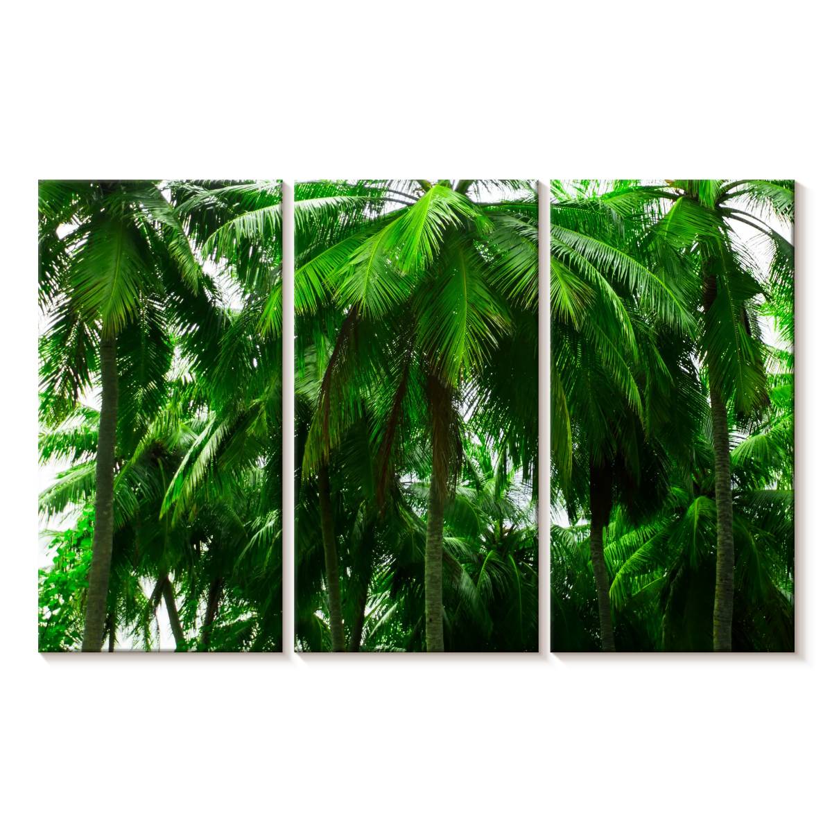 Elephant Stock Palm Tree Forest Wall Art - Horizontal Multi Panel ...