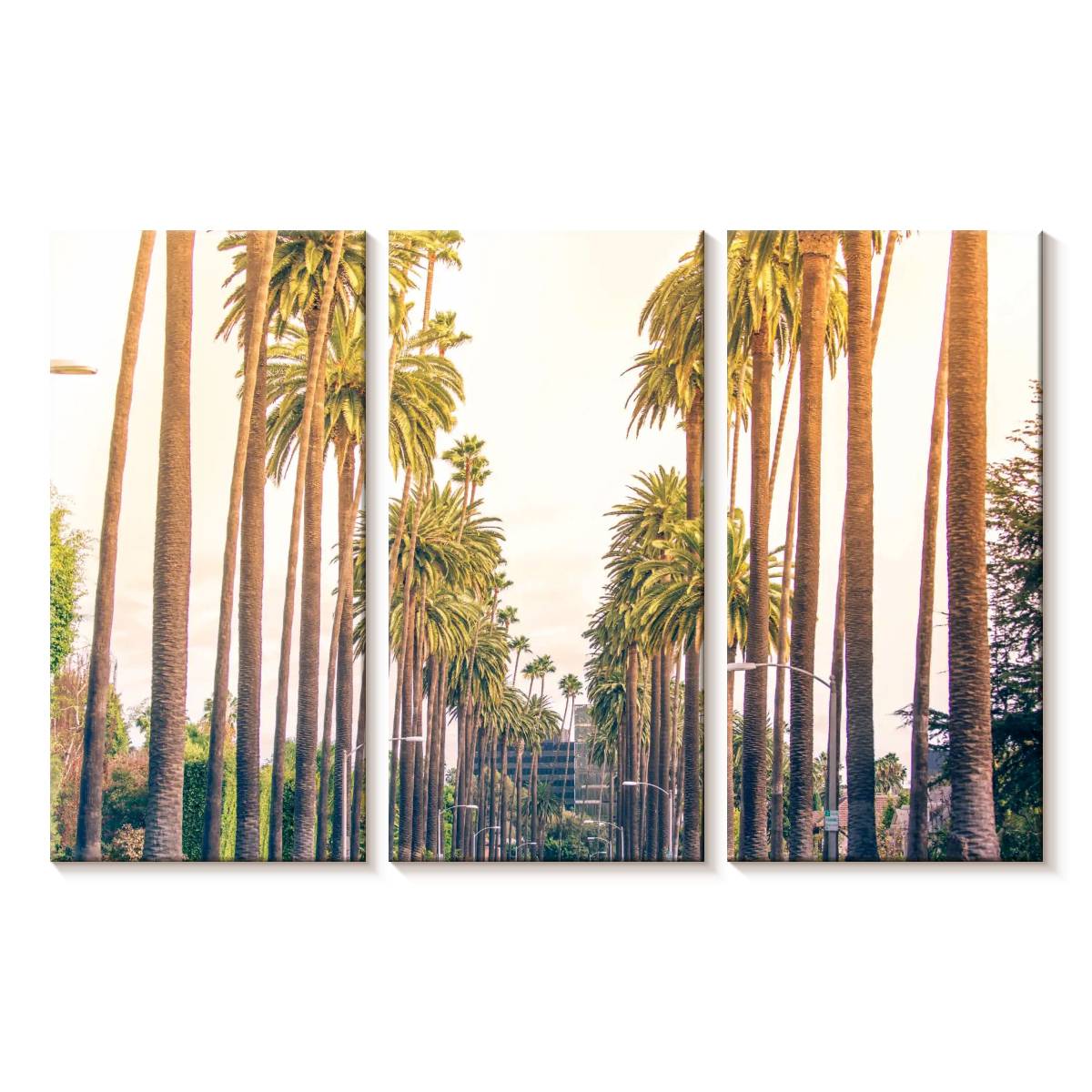 Elephant Stock Palm Trees In Los Angeles Wall Art - Horizontal Multi ...