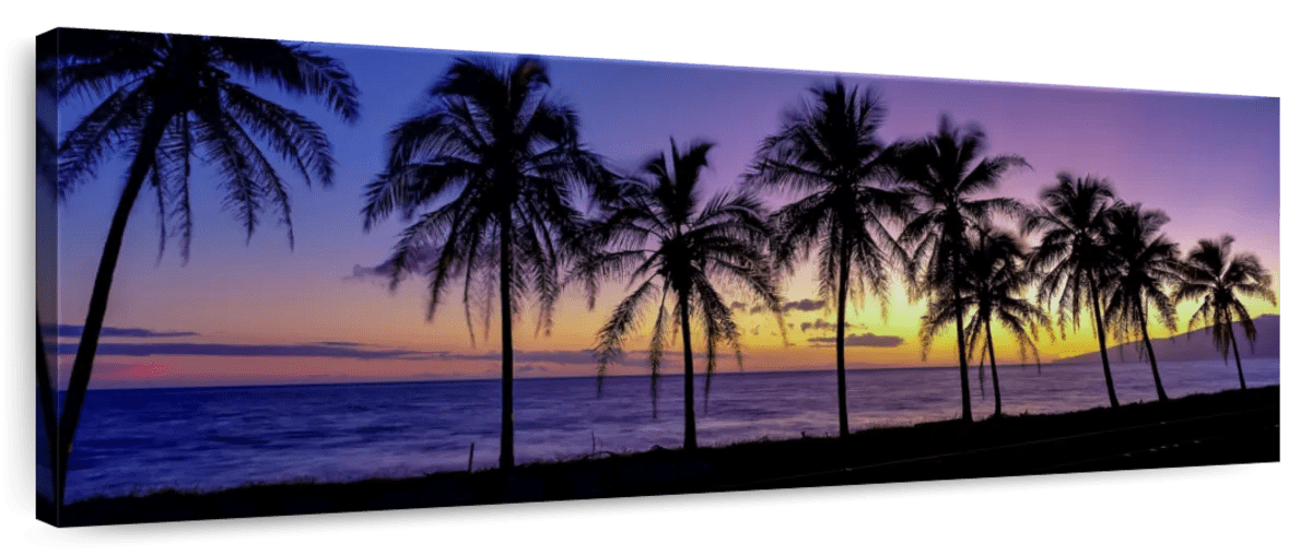 Elephant Stock Palm Trees Sunset Wall Art - Panoramic Canvas Wall Art ...