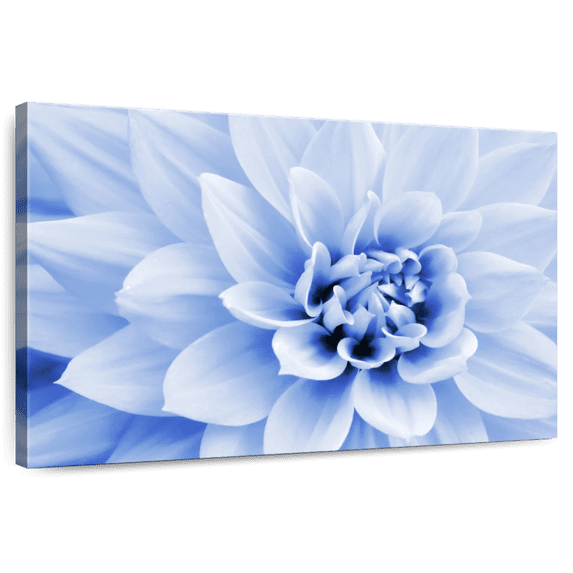 Elephant Stock Pastel Blue Dahlia Wall Art - Horizontal Canvas Wall Art - Living Room Wall Decor - Floral And Botanical Canvas - Blue And White Decor - 45" x 30"