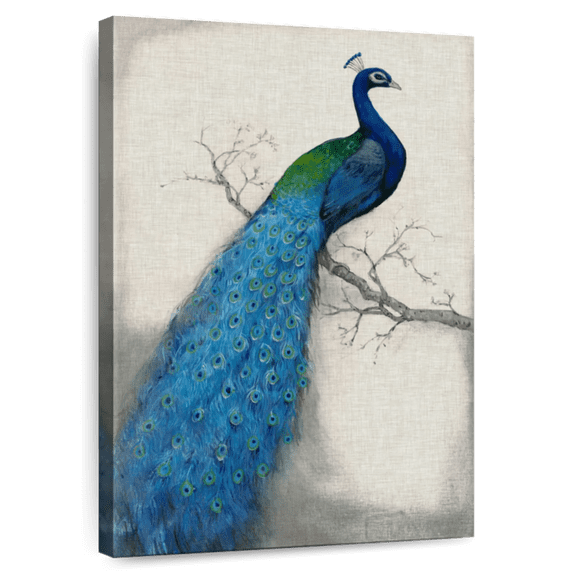 Elephant Stock Peacock Blue I Wall Art - Vertical Canvas Wall Art - Lobby Wall Decor - Animal Canvas - Blue And Green Decor By Tim O'toole - 8" x 12"