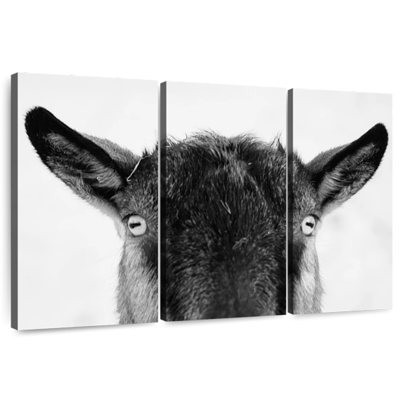 Elephant Stock Peeking Black Goat Wall Art - Horizontal Multi Panel Canvas - Living Room Wall Decor - Animal Multi Panel - Gray And Black Decor - 65" x 42"