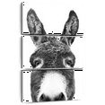 thumbnail image 1 of Elephant Stock Peeking Donkey In Black And White Wall Art - Vertical Multi Panel Canvas - Living Room Wall Decor - Animal Multi Panel - Black And Gray Decor By Sisi And Seb - 36" x 57", 1 of 8