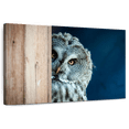 thumbnail image 1 of Elephant Stock Peeking Owl Wall Art - Horizontal Canvas Wall Art - Living Room Wall Decor - Animal Canvas - Blue And Beige Decor - 48" x 32", 1 of 8