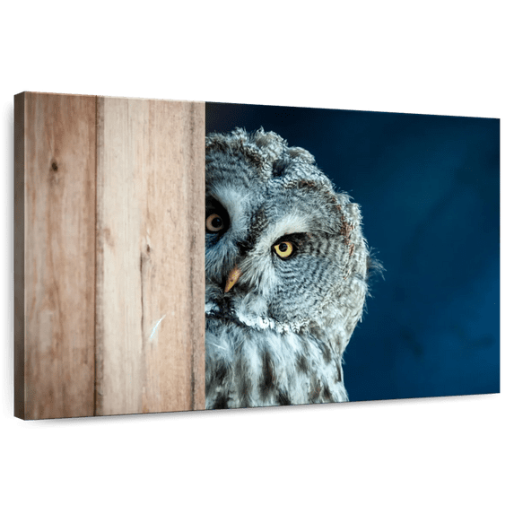 Elephant Stock Peeking Owl Wall Art - Horizontal Canvas Wall Art - Living Room Wall Decor - Animal Canvas - Blue And Beige Decor - 48" x 32"