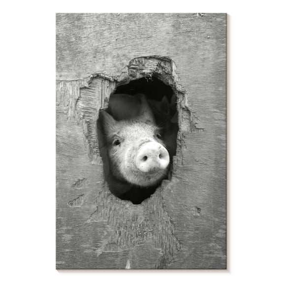 Elephant Stock Peeking Pig Wall Art - Vertical Canvas Wall Art - Living Room Wall Decor - Animal Canvas - White And Gray Decor - 26" x 39"