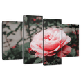 thumbnail image 1 of Elephant Stock Pink Rose Wall Art - Horizontal Multi Panel Canvas - Living Room Wall Decor - Floral And Botanical Multi Panel - Gray And Pink Decor - 52" x 32", 1 of 8