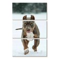 thumbnail image 1 of Elephant Stock Pit Bull On Snow Wall Art - Vertical Multi Panel Canvas - Living Room Wall Decor - Animal Multi Panel - Gray And Brown Decor - 14" x 23", 1 of 4