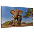 thumbnail image 1 of Elephant Stock Playful African Elephant Wall Art - Horizontal Canvas Wall Art - Living Room Wall Decor - Photography Animal Canvas - Brown And Green Decor - 24" x 16", 1 of 8