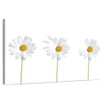 thumbnail image 1 of Elephant Stock Plucked Daisies Wall Art - Horizontal Canvas Wall Art - Living Room Wall Decor - Floral And Botanical Canvas - White And Yellow Decor - 12" x 8", 1 of 8