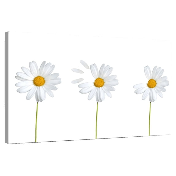 Elephant Stock Plucked Daisies Wall Art - Horizontal Canvas Wall Art - Living Room Wall Decor - Floral And Botanical Canvas - White And Yellow Decor - 12" x 8"